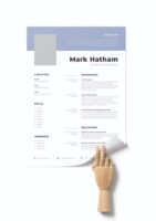 CV #12 Mark Hatham