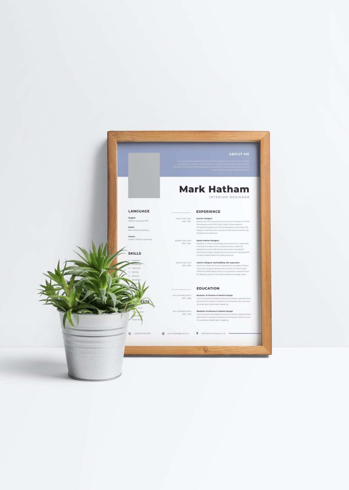 CV #12 Mark Hatham
