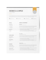 CV #80 Rebeca Lopez