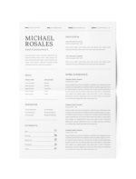 CV #48 Michael Rosales