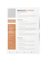 CV #106 Renaldo Lopezes